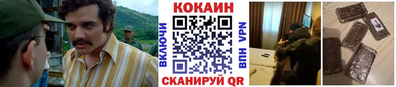 Купить закладки  Палласовка  COCAIN 99% 
