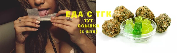 гашик Арсеньев