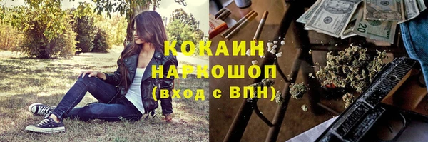 гашик Арсеньев