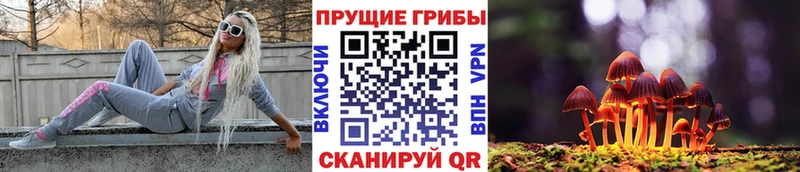 Купить где Палласовка Галлюциногенные грибы прущие грибы